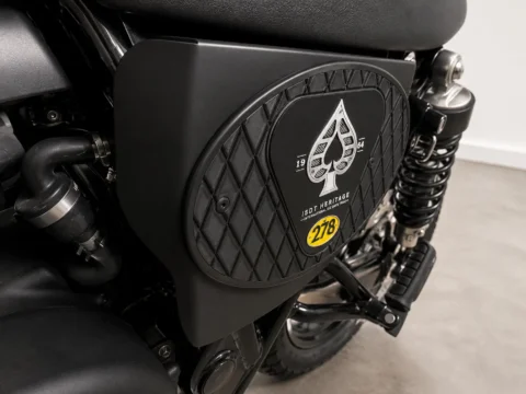 Customer Bike — Custom Side Cover