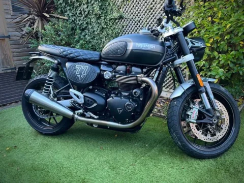 Triumph Speed Twin 1200 — Garden Build